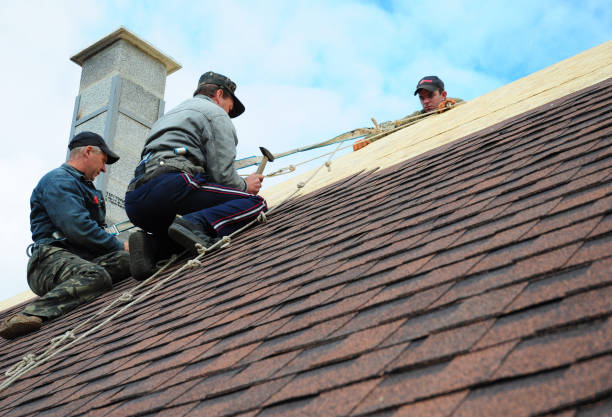 Gutter Installation and Roofing in Oreana, IL
