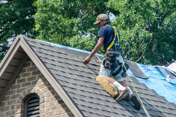 Best Shingle Roofing Installation  in Oreana, IL